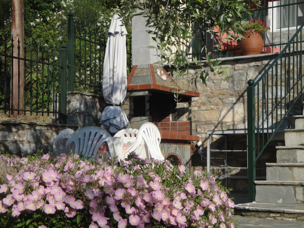 Nestor Apartments Chrisi Ammoudia Zimmer foto
